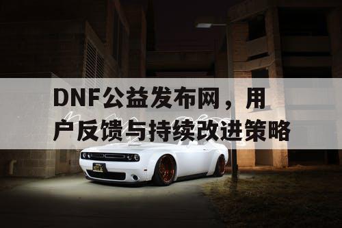 DNF公益发布网，用户反馈与持续改进策略