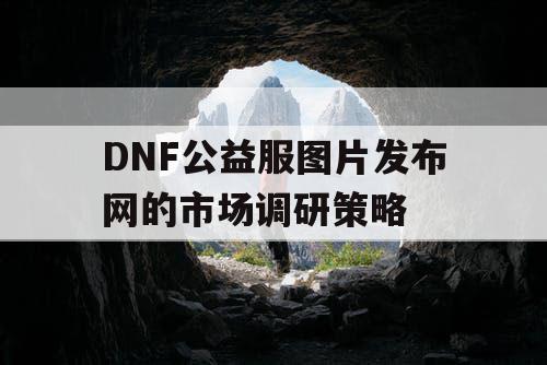 DNF公益服图片发布网的市场调研策略