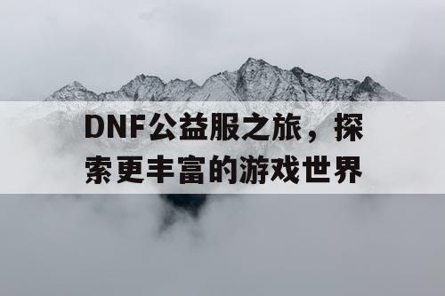 DNF公益服之旅，探索更丰富的游戏世界