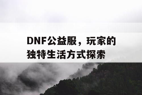 DNF公益服，玩家的独特生活方式探索