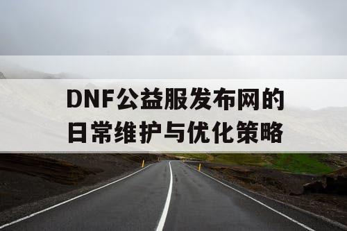 DNF公益服发布网的日常维护与优化策略