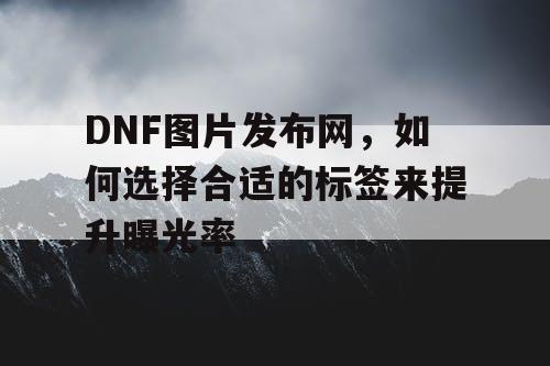 DNF图片发布网，如何选择合适的标签来提升曝光率