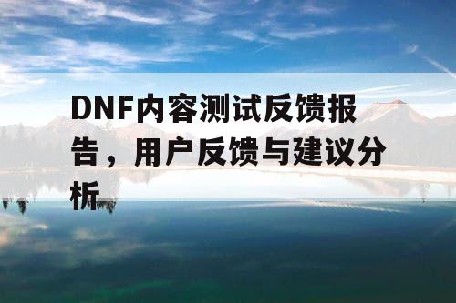 DNF内容测试反馈报告，用户反馈与建议分析