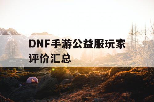 DNF手游公益服玩家评价汇总