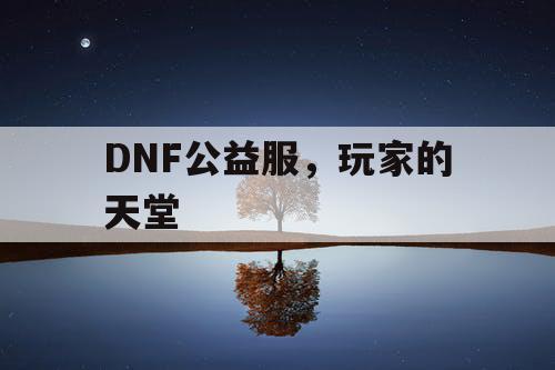 DNF公益服，玩家的天堂