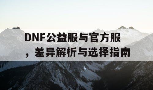 DNF公益服与官方服	，差异解析与选择指南