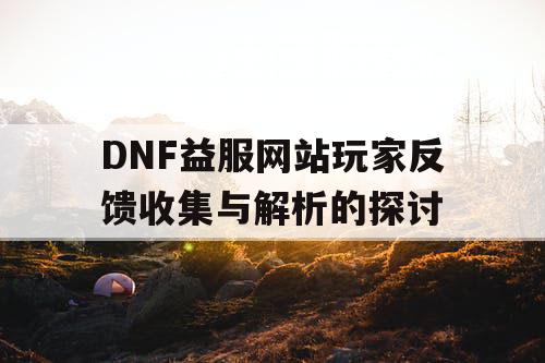 DNF益服网站玩家反馈收集与解析的探讨