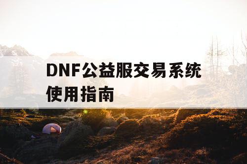 DNF公益服交易系统使用指南