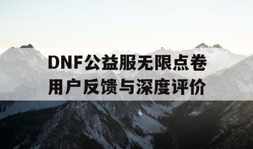 DNF公益服无限点卷用户反馈与深度评价