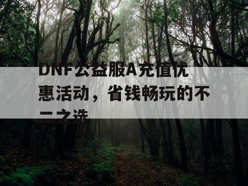 DNF公益服A充值优惠活动，省钱畅玩的不二之选