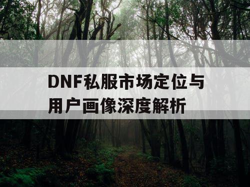 DNF私服市场定位与用户画像深度解析