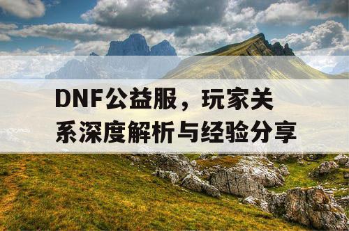 DNF公益服，玩家关系深度解析与经验分享