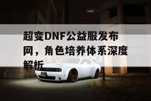 超变DNF公益服发布网，角色培养体系深度解析