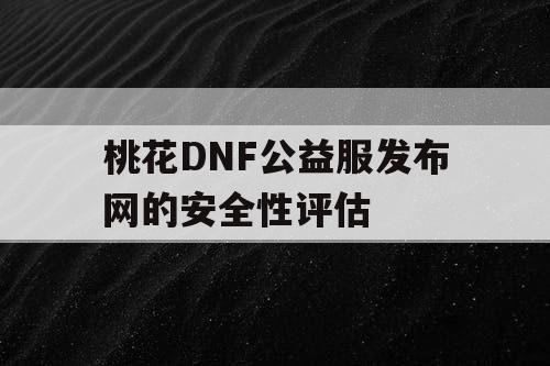 桃花DNF公益服发布网的安全性评估