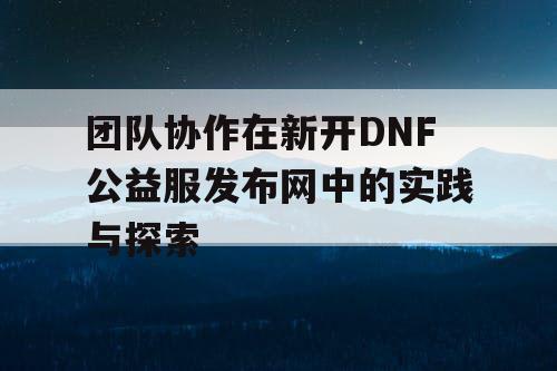 团队协作在新开DNF公益服发布网中的实践与探索