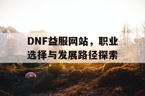 DNF益服网站，职业选择与发展路径探索