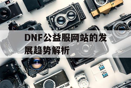 DNF公益服网站的发展趋势解析