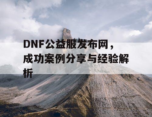 DNF公益服发布网，成功案例分享与经验解析