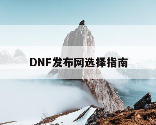 DNF发布网选择指南