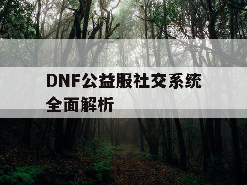 DNF公益服社交系统全面解析