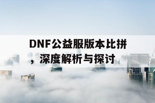 DNF公益服版本比拼，深度解析与探讨