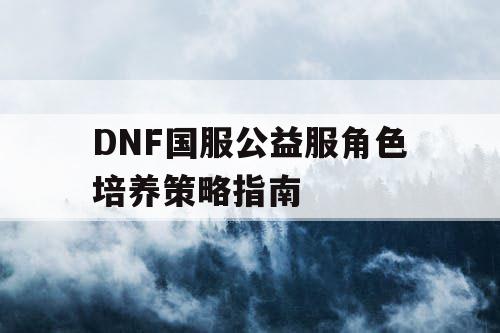 DNF国服公益服角色培养策略指南