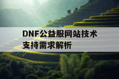 DNF公益服网站技术支持需求解析