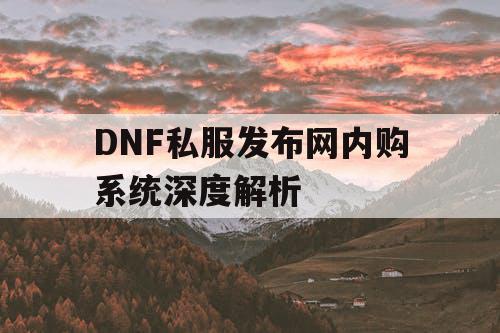 DNF私服发布网内购系统深度解析