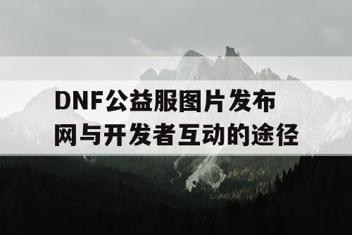 DNF公益服图片发布网与开发者互动的途径