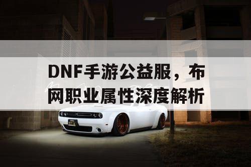 DNF手游公益服，布网职业属性深度解析