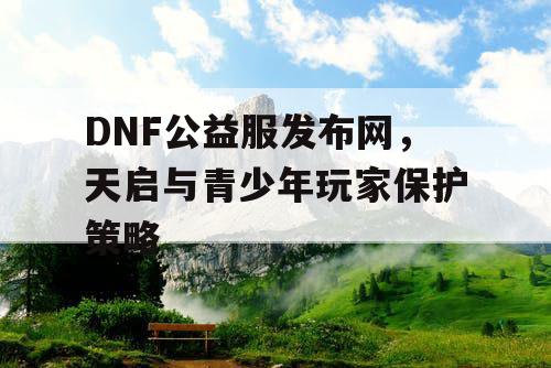 DNF公益服发布网，天启与青少年玩家保护策略