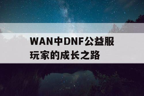 WAN中DNF公益服玩家的成长之路