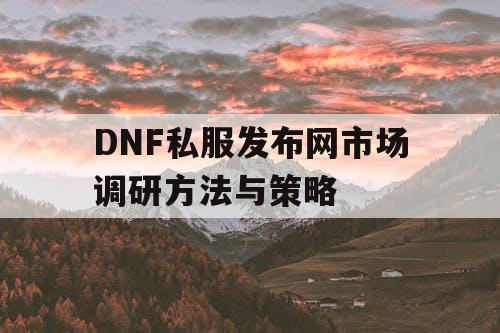 DNF私服发布网市场调研方法与策略