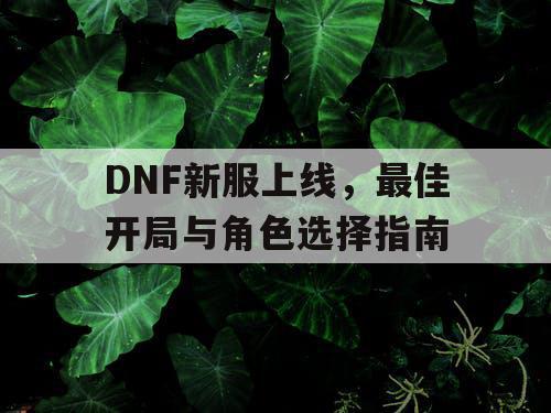 DNF新服上线，最佳开局与角色选择指南