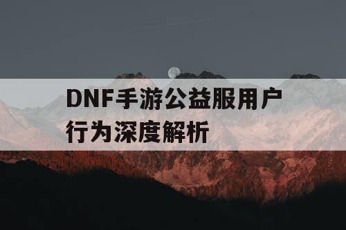 DNF手游公益服用户行为深度解析