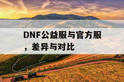 DNF公益服与官方服	，差异与对比