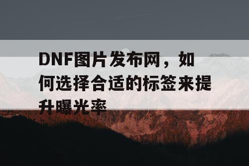 DNF图片发布网，如何选择合适的标签来提升曝光率