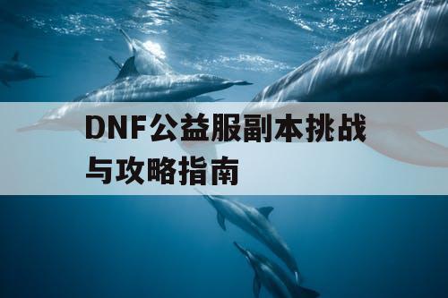 DNF公益服副本挑战与攻略指南