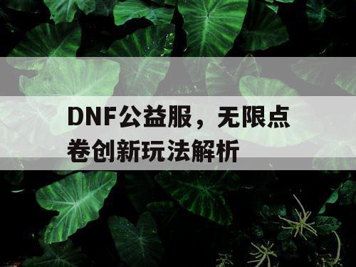 DNF公益服，无限点卷创新玩法解析