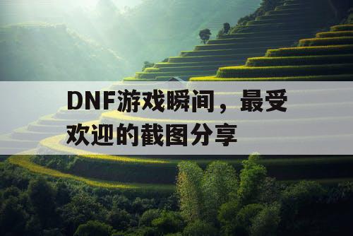 DNF游戏瞬间	，最受欢迎的截图分享