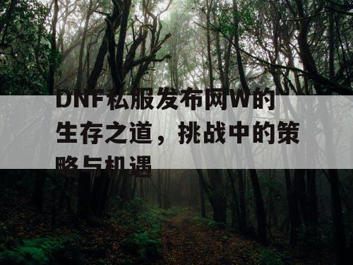 DNF私服发布网W的生存之道，挑战中的策略与机遇