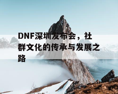 DNF深圳发布会，社群文化的传承与发展之路