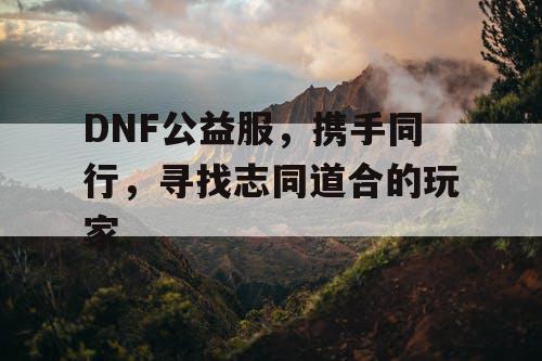 DNF公益服	，携手同行，寻找志同道合的玩家