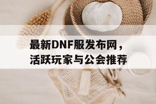 最新DNF服发布网，活跃玩家与公会推荐