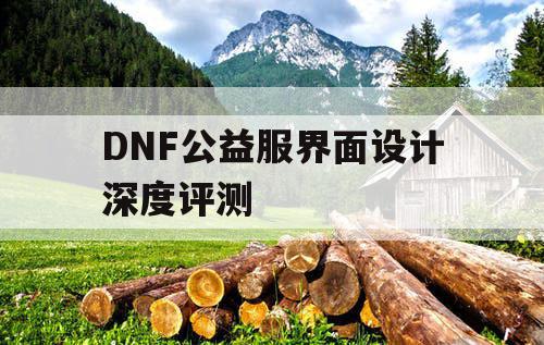 DNF公益服界面设计深度评测