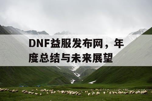 DNF益服发布网，年度总结与未来展望