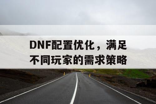 DNF配置优化	，满足不同玩家的需求策略