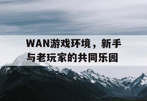 WAN游戏环境，新手与老玩家的共同乐园