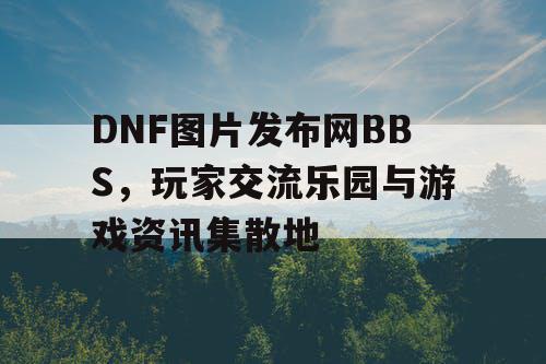 DNF图片发布网BBS，玩家交流乐园与游戏资讯集散地