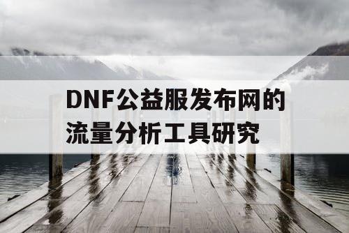 DNF公益服发布网的流量分析工具研究